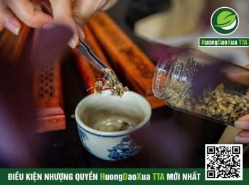 Trà Hương Đạo Xưa