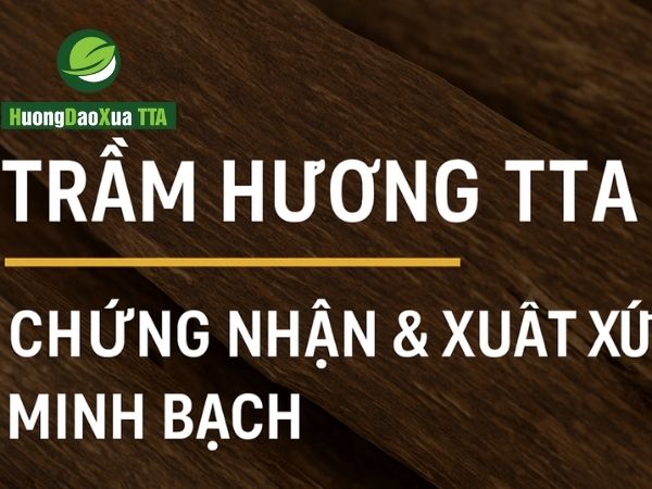 Trầm Hương TTA – Minh Bạch Pháp Lý, Chứng Nhận Quốc Tế và Hành Trình Khẳng Định Thương Hiệu