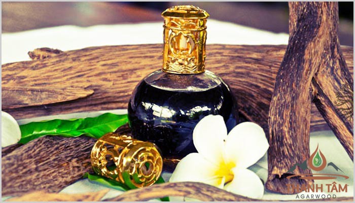 Hương Trầm Lan Xa - Cơ Hội Khởi Nghiệp Gõ Cửa Mọi Nhà